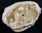 Large Crystal Filled Fossil Clam - Rucks Pit #13758-1